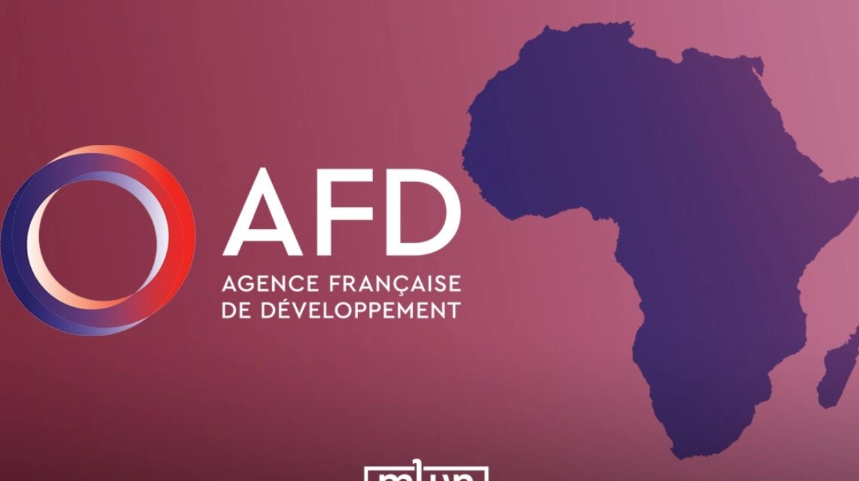 AFD Slashes Africa Budget to €4 Billion Amid French Aid Cuts
