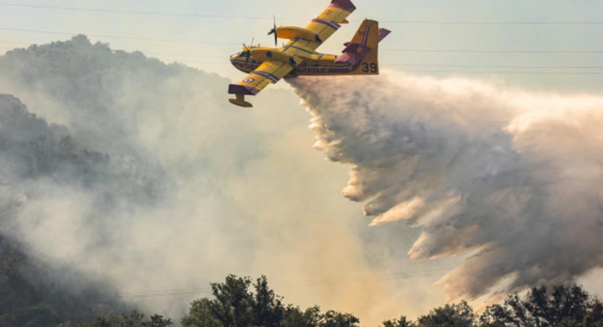 Les incendies de forêt ravagent le sud de l'Europe, poussant des milliers de personnes à fuir leur domicile sous une chaleur extrême